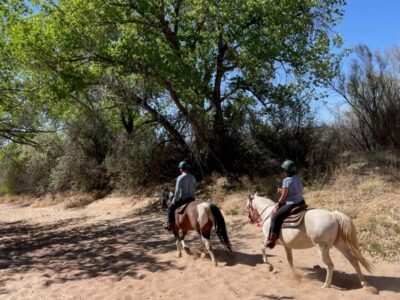 Galisteo Creek Stables Trail Riding