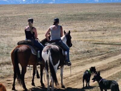 Paintbrush Adventures