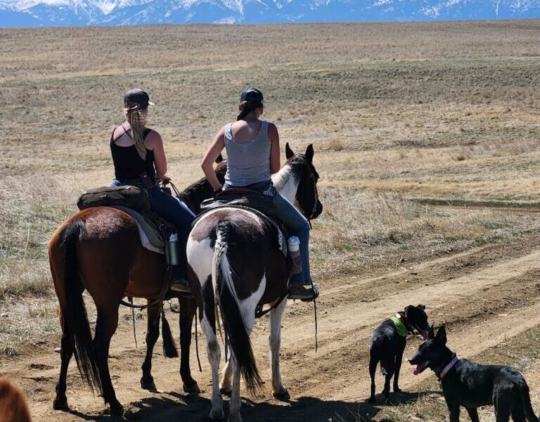 Paintbrush Adventures