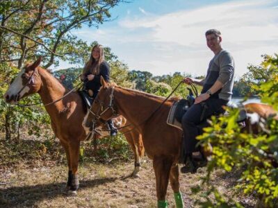 The New York Equestrian Center