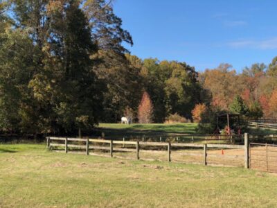 Shady Creek Farm