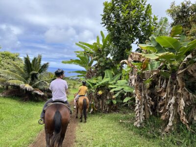 Waipi'o on Horseback