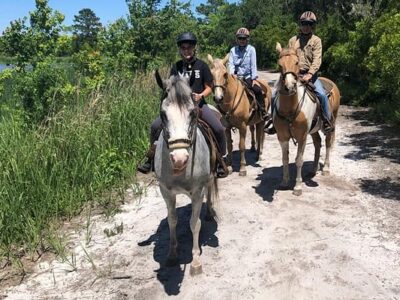 Middleton Place Equestrian Center