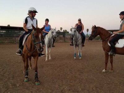 Arabians and More
