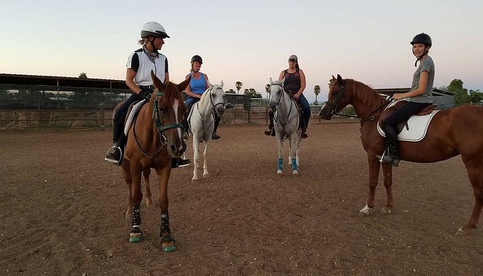 Arabians and More
