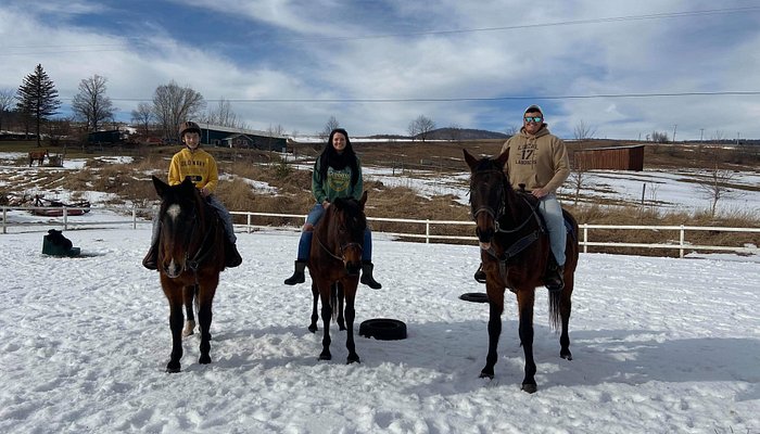 Broken Spoke Stables