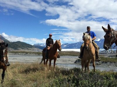 Alaska Horse Adventures