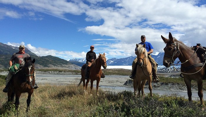 Alaska Horse Adventures