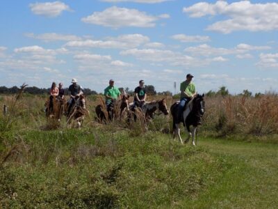 Horse Riding Orlando