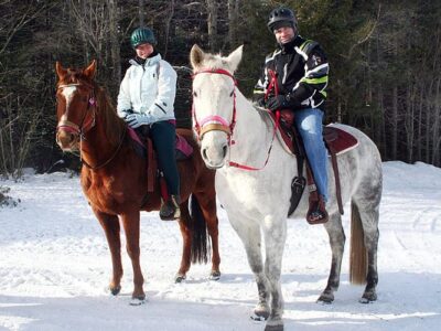 Adirondack Equine Center