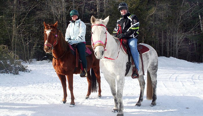 Adirondack Equine Center