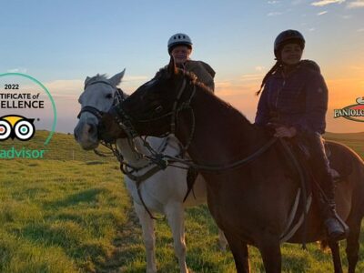 Paniolo Adventures