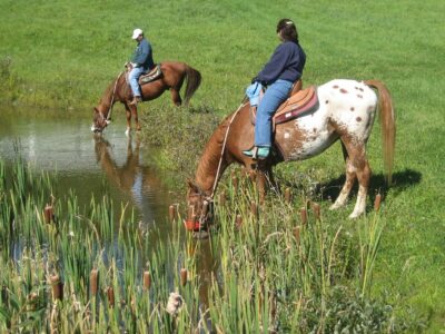 Adventure Horse Riding in NYS