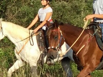 Cypress Trails Ranch