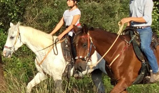 Cypress Trails Ranch