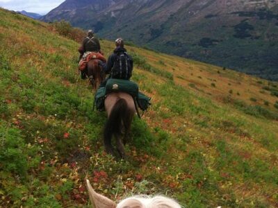 Alaska Horse Adventures