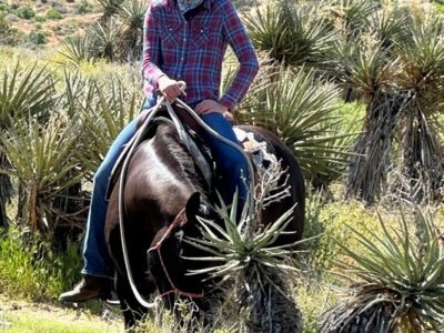 Crazy Horse Ranch
