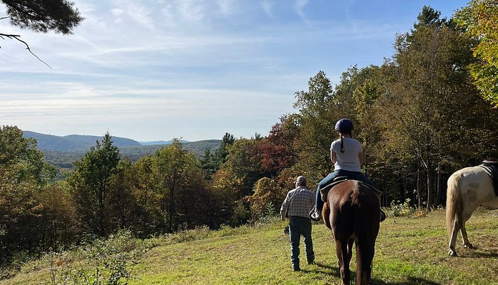 One Trick Pony Rides