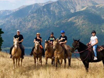 Dun The Right Way Horses