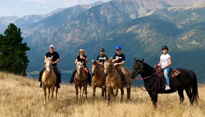 Dun The Right Way Horses