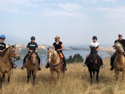 Dun The Right Way Horses