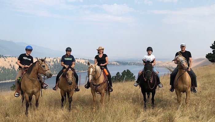 Dun The Right Way Horses