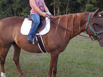 Joyful Noise Riding Academy