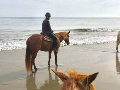 Summerland Beach Rides