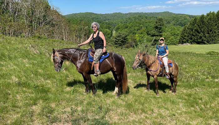 Appalachian Horse Adventures