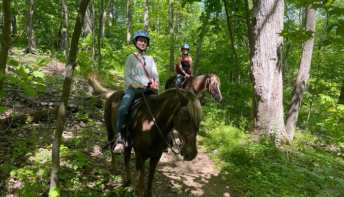 Appalachian Horse Adventures - Montebello, VA