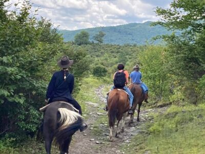 Appalachian Horseback Riding Adventures