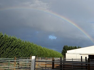 Dream Ridge Stables