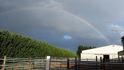 Dream Ridge Stables