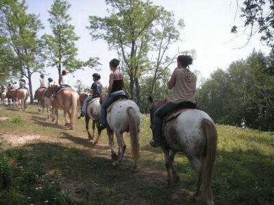 Arrowmont Stables
