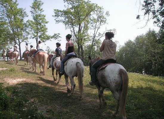 Arrowmont Stables