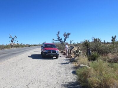 Joshua Tree Ranch