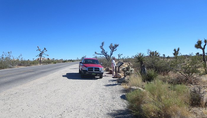Joshua Tree Ranch