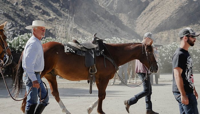 Smoke Tree Stables
