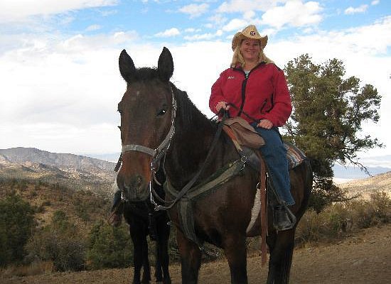 Baldwin Lake Stables