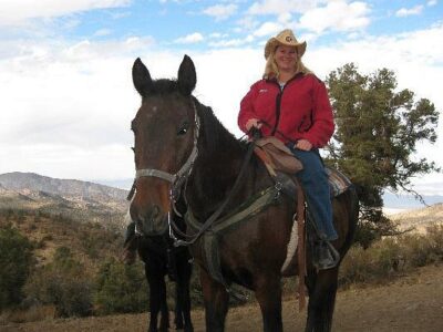 Baldwin Lake Stables