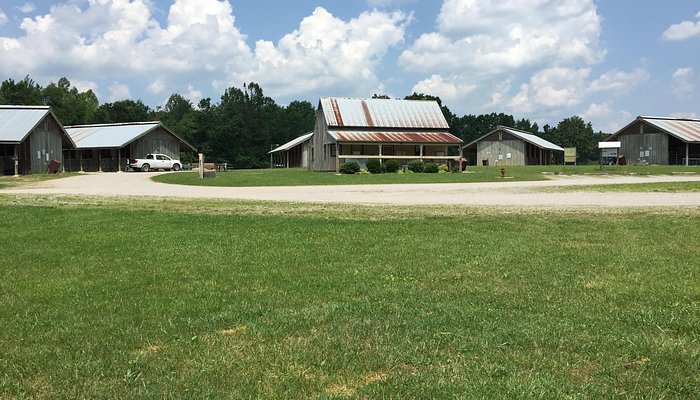 Bandy Creek Stables