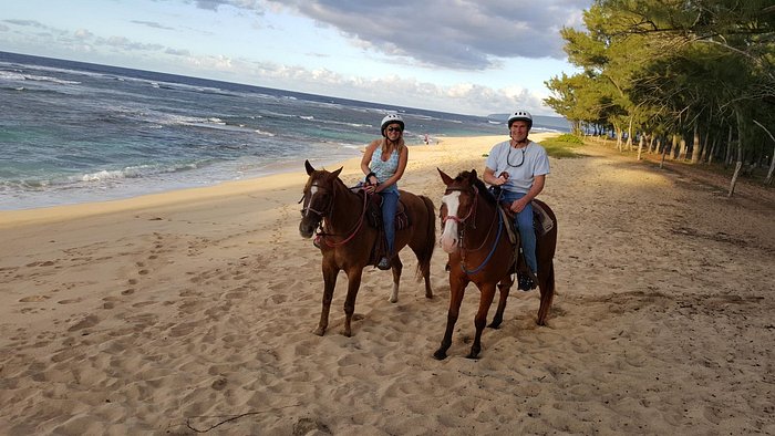 Oahu Horseback Rides