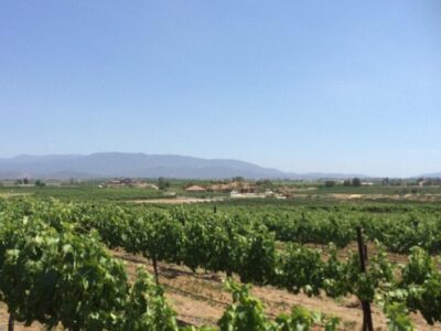 Temecula Wine Country Horseback Riding
