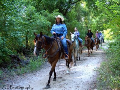 Eagle Eye Ranch Carriage Company