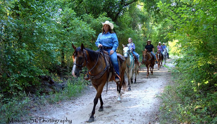 Eagle Eye Ranch Carriage Company