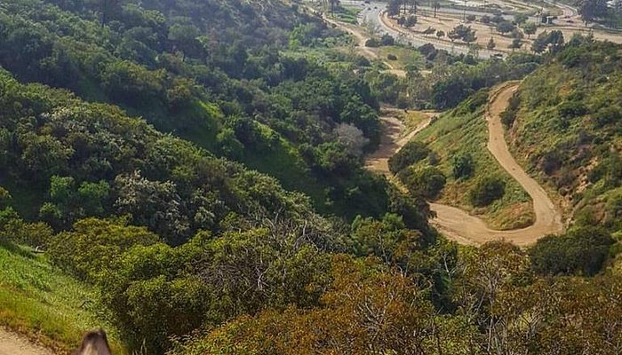 LA Horse Rentals