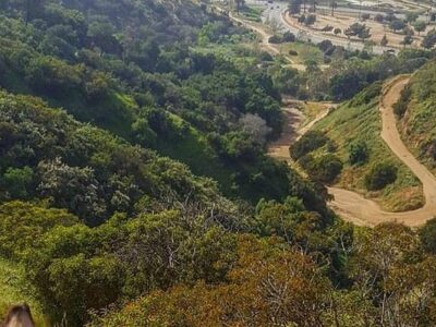 LA Horse Rentals
