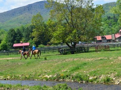 Grandfather Stables
