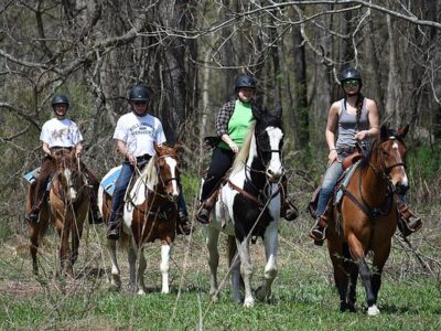 Friendship Equestrian Center