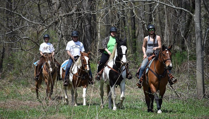 Friendship Equestrian Center